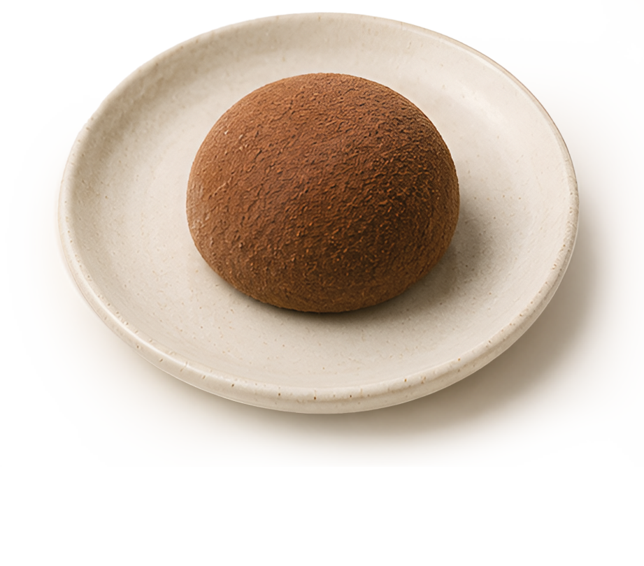 Chocolate Mochi